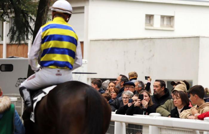 Rashford, Le Riskel, Color Ritano: everything about the meeting of the Grand Prix de Nantes Défi du Galop