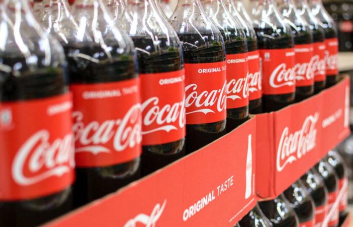 Job. Coca Cola, Cémoi… These big companies are recruiting in the North!