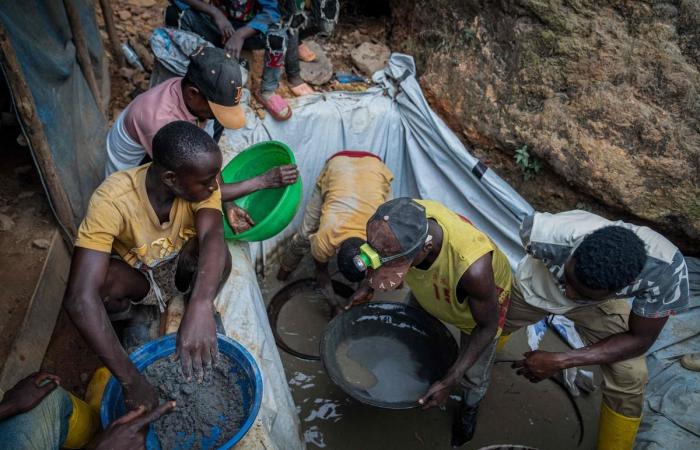 Gold mines – “They benefit from support in high places”, Chinese companies in the crosshairs in the DRC