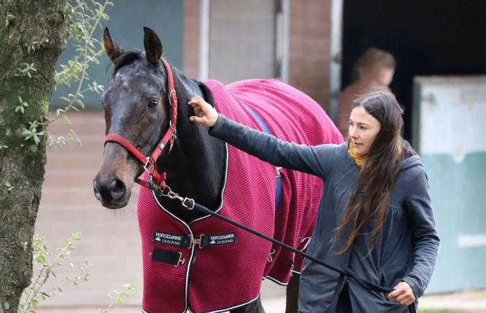 Rashford, Le Riskel, Color Ritano: everything about the meeting of the Grand Prix de Nantes Défi du Galop