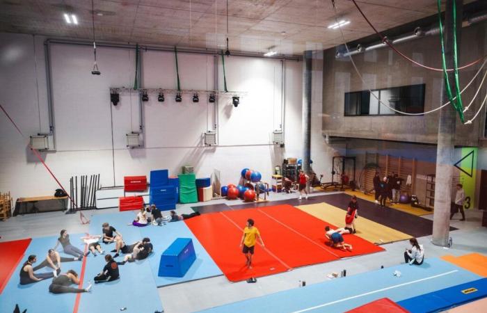 Leisure and training: the circus thinks big in Renens