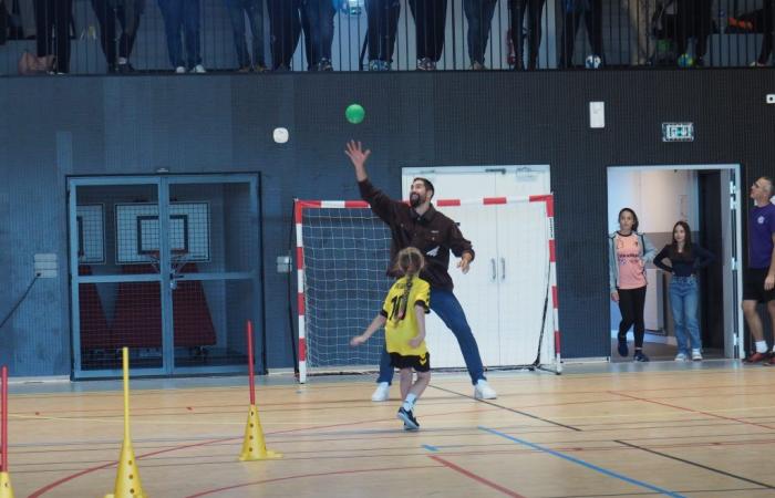 Essonne: the Nikola Karabatik gymnasium in Mennecy amazes