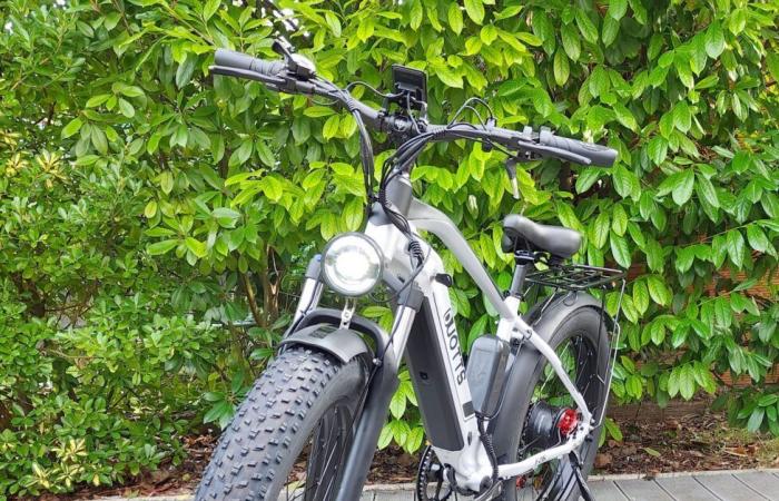 Incredible price drop on the DUOTTS F26 double motor electric bike version 2024