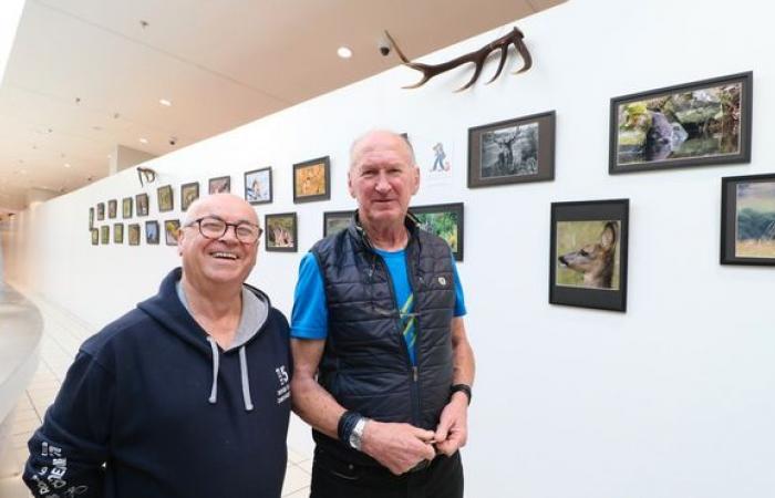 Jean-Paul Rickelin exhibits his animal photos in the ex-Géant shopping gallery in Aurillac