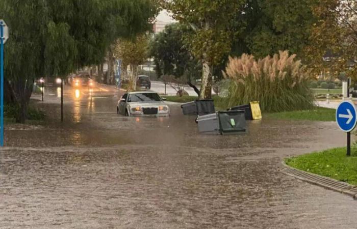 Floods of September and October in Mandelieu: victims invited to declare themselves