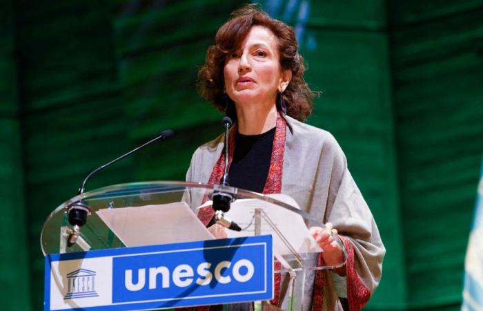 UNESCO | Murders of journalists mostly go unpunished