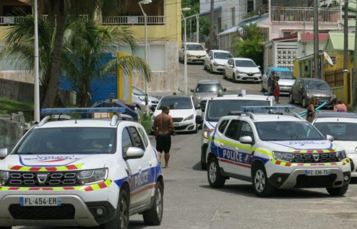 Guadeloupe. A 29-year-old man shot dead in the street in Baie-Mahault