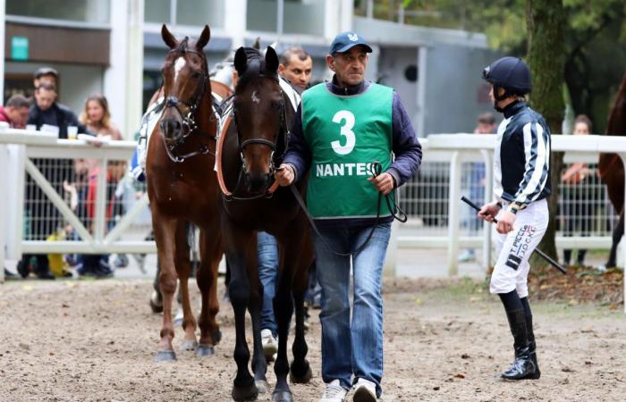 Rashford, Le Riskel, Color Ritano: everything about the meeting of the Grand Prix de Nantes Défi du Galop