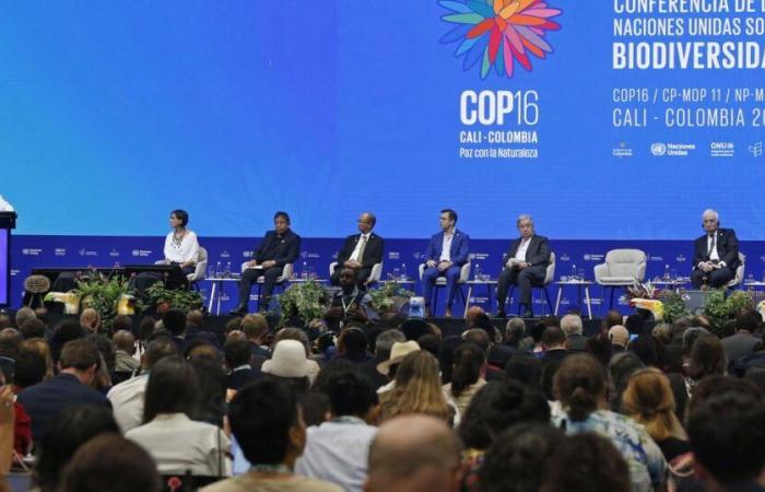 COP16 biodiversity ends in Cali, failure of negotiations on North-South financing – rts.ch