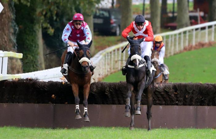 Rashford, Le Riskel, Color Ritano: everything about the meeting of the Grand Prix de Nantes Défi du Galop