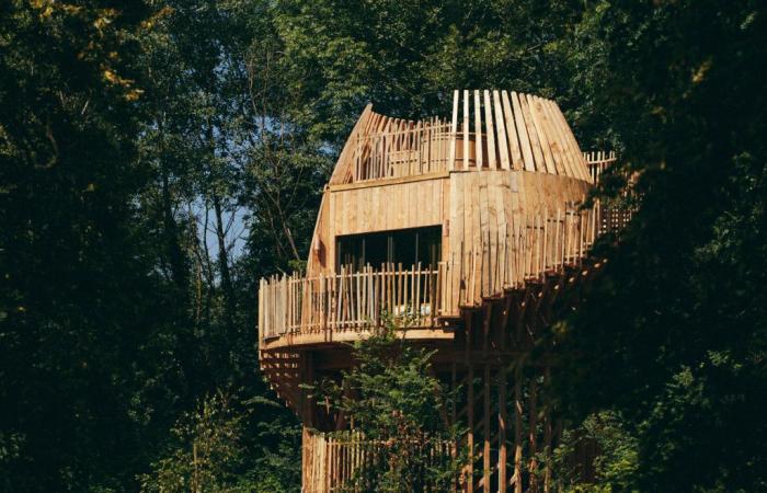 In Chassey-lès-Montbozon, Great Lakes cabins by AW²