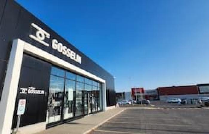 Two Quebecers take over Gosselin Photo to keep the retailer here