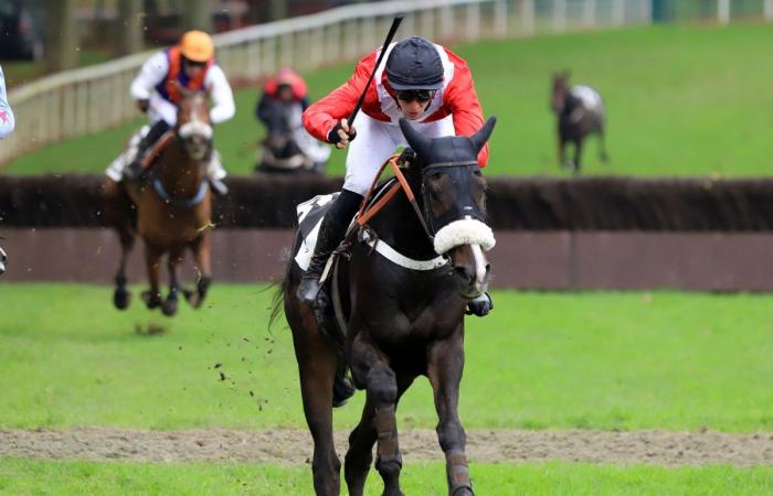 Rashford, Le Riskel, Color Ritano: everything about the meeting of the Grand Prix de Nantes Défi du Galop