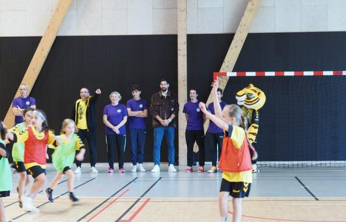 Essonne: the Nikola Karabatik gymnasium in Mennecy amazes