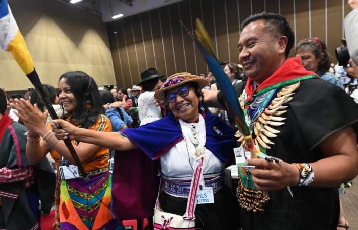 indigenous peoples obtain enhanced status