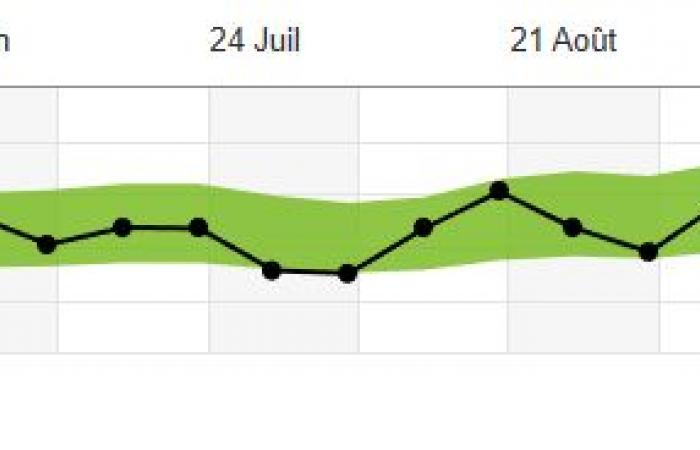 I used the Decathlon app for five months to run a half marathon