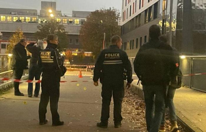 WEST-FRANCE INFO. A 19-year-old boy dies after receiving several stab wounds in Rennes