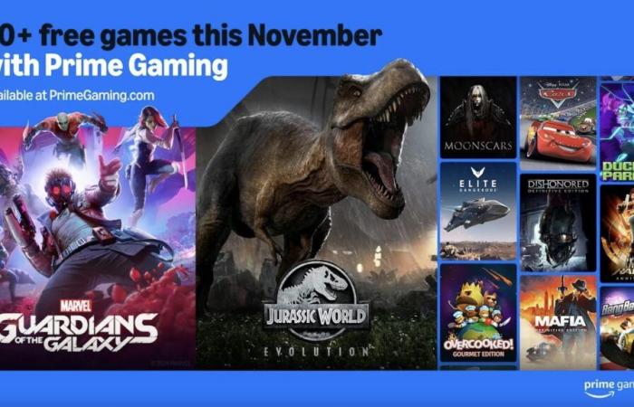 Amazon Prime Gaming: the 24 games offered in November 2024