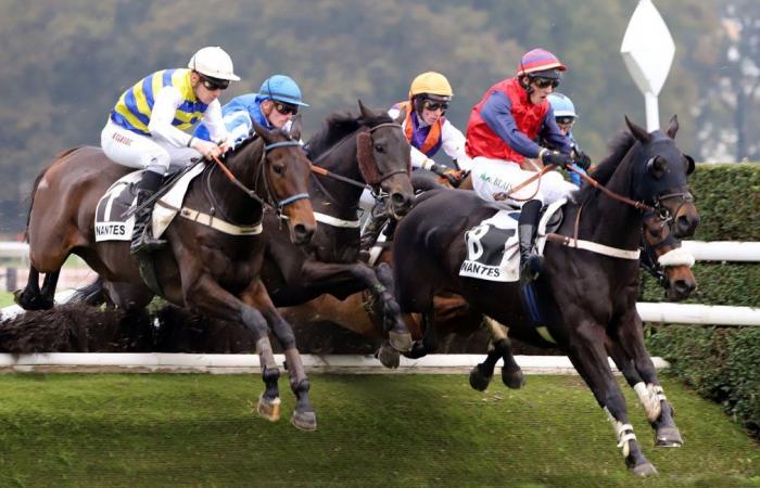 Rashford, Le Riskel, Color Ritano: everything about the meeting of the Grand Prix de Nantes Défi du Galop