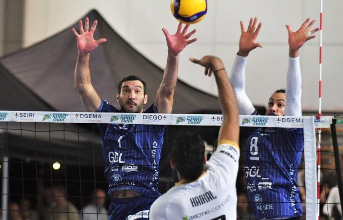 Volleyball: Arago de Sète continues at home with newfound freshness