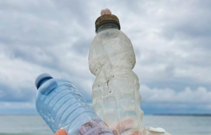 A conference on plastic pollution will be presented