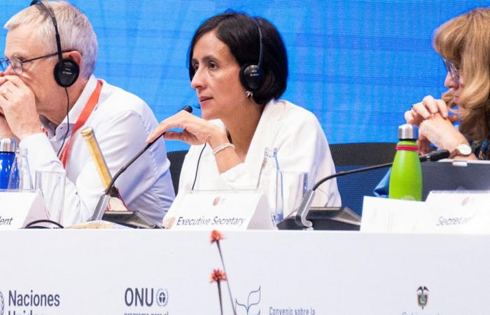 COP16 biodiversity ends with a failure of negotiations on financing