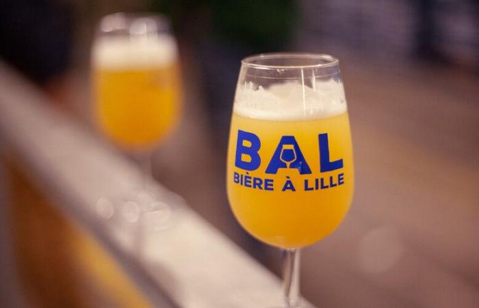 Beer in Lille: the big brewing festival arrives in Hauts-de-France