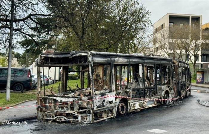 two TCL buses burned last night