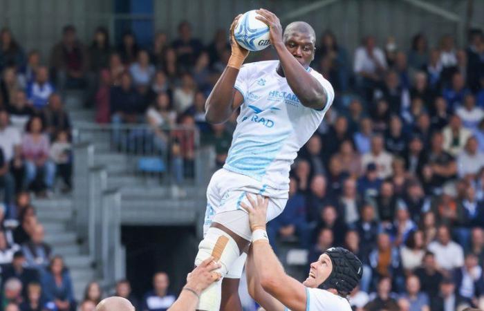 Top 14 – “I didn’t know that we had the right to touch the jumper in the air”: analysis of the Castres essay controversy