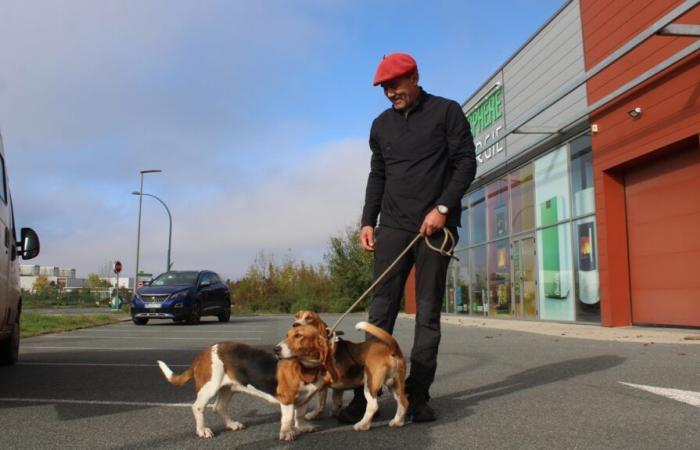 five stolen hunting dogs found on the outskirts of Niort