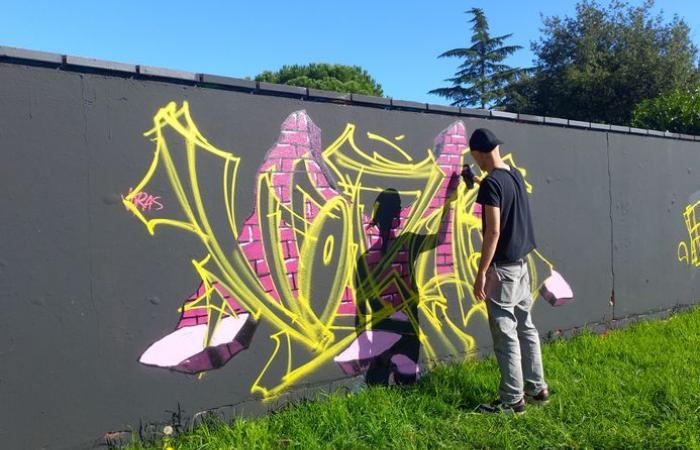 “The world of street art is becoming wider and wider”: in Montauban, Hall 82 is regaining color