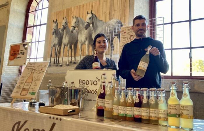 Pauline and Jocelyn make kombucha, a non-alcoholic tea-based drink, in La Manche