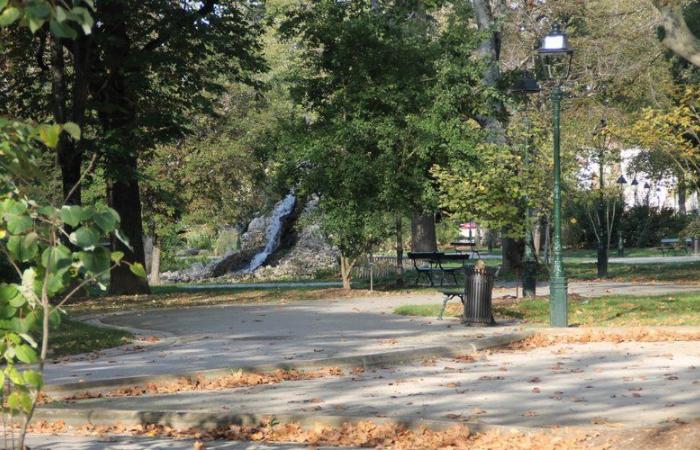 “My son was stabbed for nothing, like other young people before”: the cry of alarm from a mother after the attack on her son in Castres