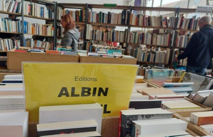 A good start before a poor end: the two-part assessment of the 50th Belfort book fair