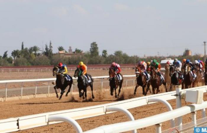 Marrakech: great success of the 3rd edition of the African Horse Racing Grand Prix