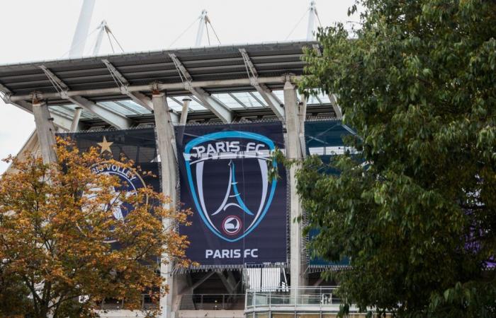 Paris FC sale: The XXL objective of the Arnault clan!