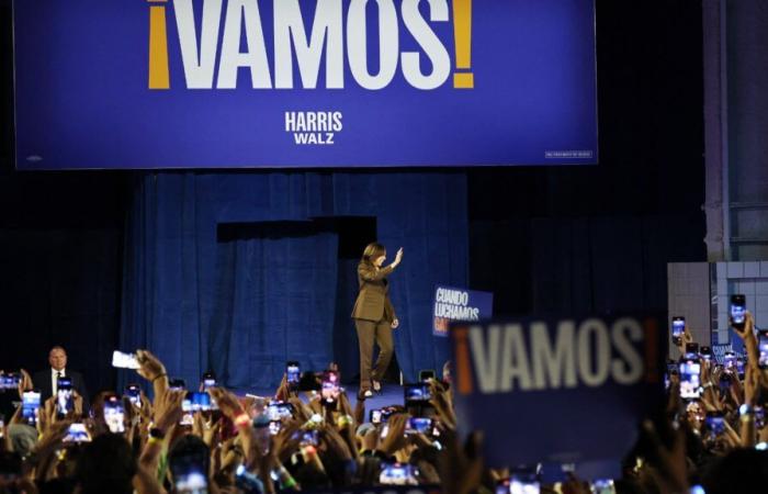 Kamala Harris or Donald Trump, who will the minority vote go to?