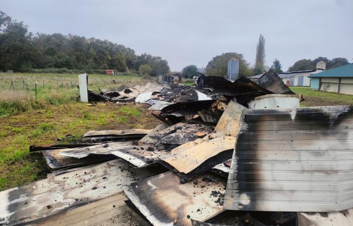 8,000 poultry perish in a fire in eastern Loiret, a difficulty for the breeder who was “already struggling to survive”