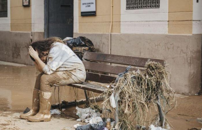 ‘It’s my country of heart, I had to do something’: Belgians mobilize to help disaster victims in Spain