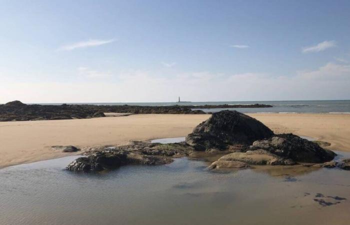 Vendée Globe 2024. Cleaning of Paracou beach organized this Monday with skippers