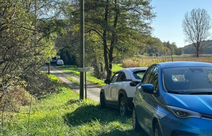 A 49-year-old hunter found dead with a gunshot wound during a hunt in Dordogne