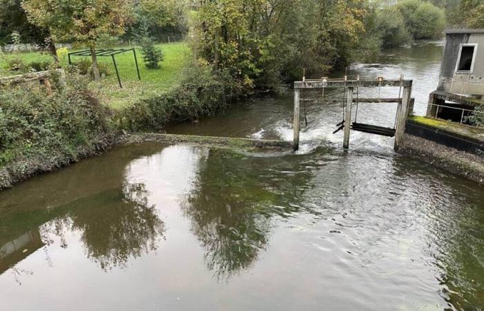 Environment. Restoration work is underway on the Sélune, in Saint-Hilaire-du-Harcouët