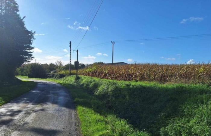 Assassination attempt in a cornfield in Brittany