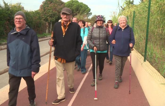 it affects 30,000 people in France, a walk to help research on retinitis pigmentosa