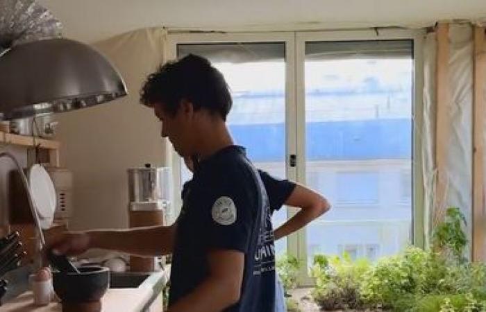 Mushroom shower, compost or “casserole of the future”… Welcome to the demonstration apartment of adaptation to climate change