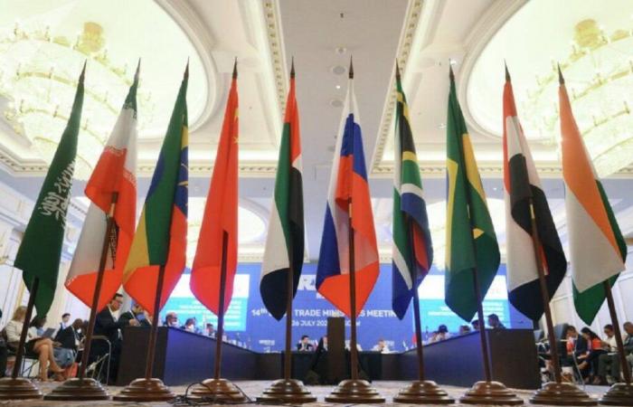 BRICS: this powerful member country of the group stabs its allies in the back and forms an alliance with these 2 countries