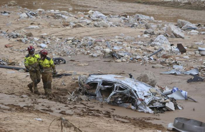 Floods in Spain | The death toll climbs to 217, the king and queen on site