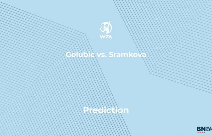 Golubic vs. Golubic Sramkova Prediction at the Jiangxi Open – Sunday, November