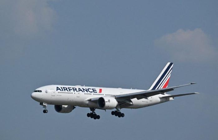 Africa: Air France suspends flights over the Red Sea area as a precaution