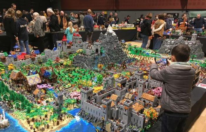 Fans of Lego bricks meet in Perray-en-Yvelines